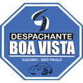 Despachante Boa Vista